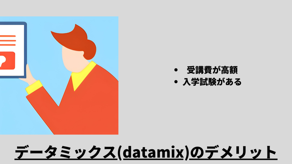 データミックス(datamix)のデメリット